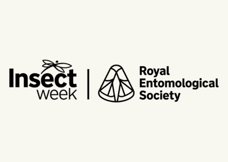 Insect Week 2026