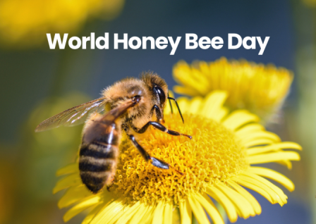 World Honey Bee Day 2025