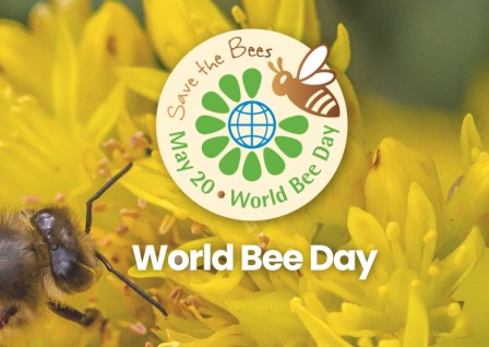 World Bee Day
