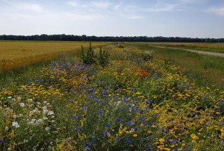 AGRI4POL field protocol workshop and field trip in Dijon, France