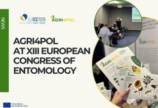 AGRI4POL at the XIII European Congress of Entomology 2026
