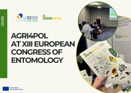 AGRI4POL at the XIII European Congress of Entomology 2026